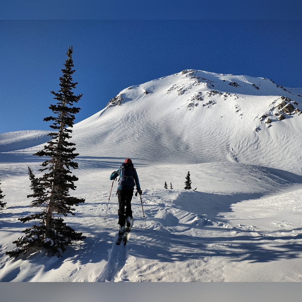 Welcome to my closet 💚 !!!!!! - Picture 15 of 16